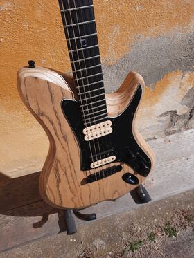 13 custom Instruments - The 13 Custom Guitar