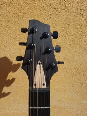 13 custom Instruments - The 13 Custom Guitar