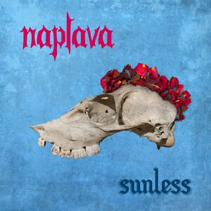 Naplava - Sunless Vinylcover